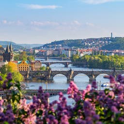 tschechien-prag-flieder-moldau-charles-bruecker-g-533346232.jpg