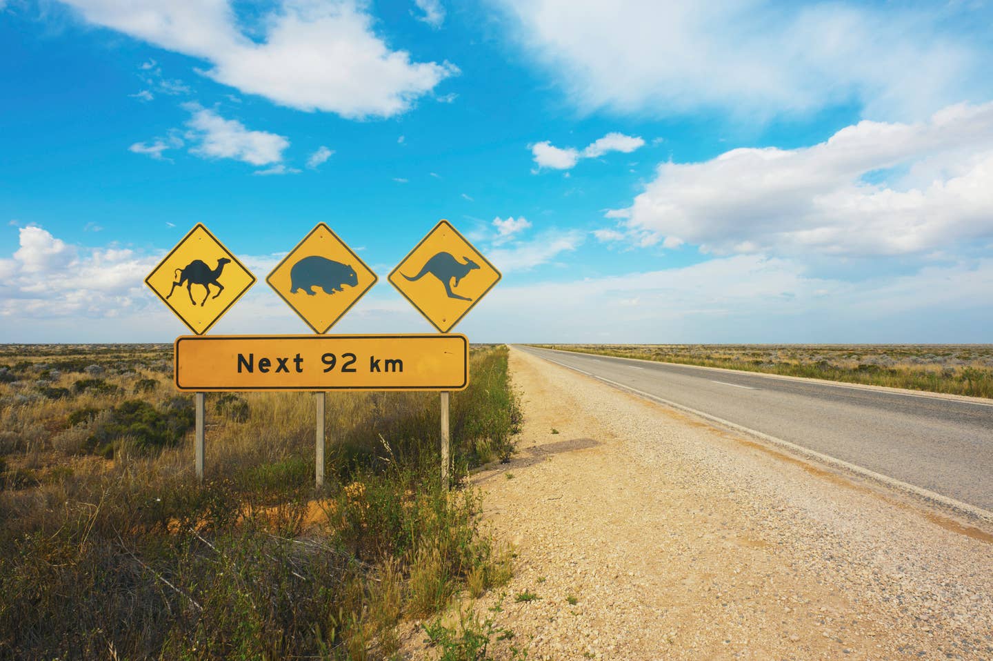 Rundreisen Australien: Landstraße im australischen Outback mit Warnschild wegen Kamelen, Känguruhs und Wombats
