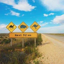 australien-straßenschild-fuer-tiere-warnung-g-905113172_b.jpg
