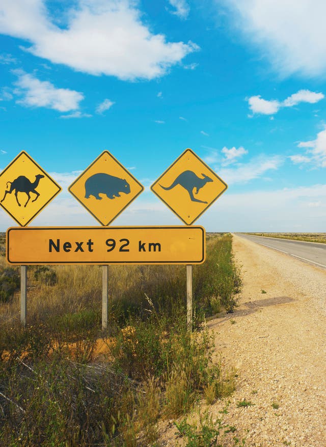 Australien beste Reisezeit