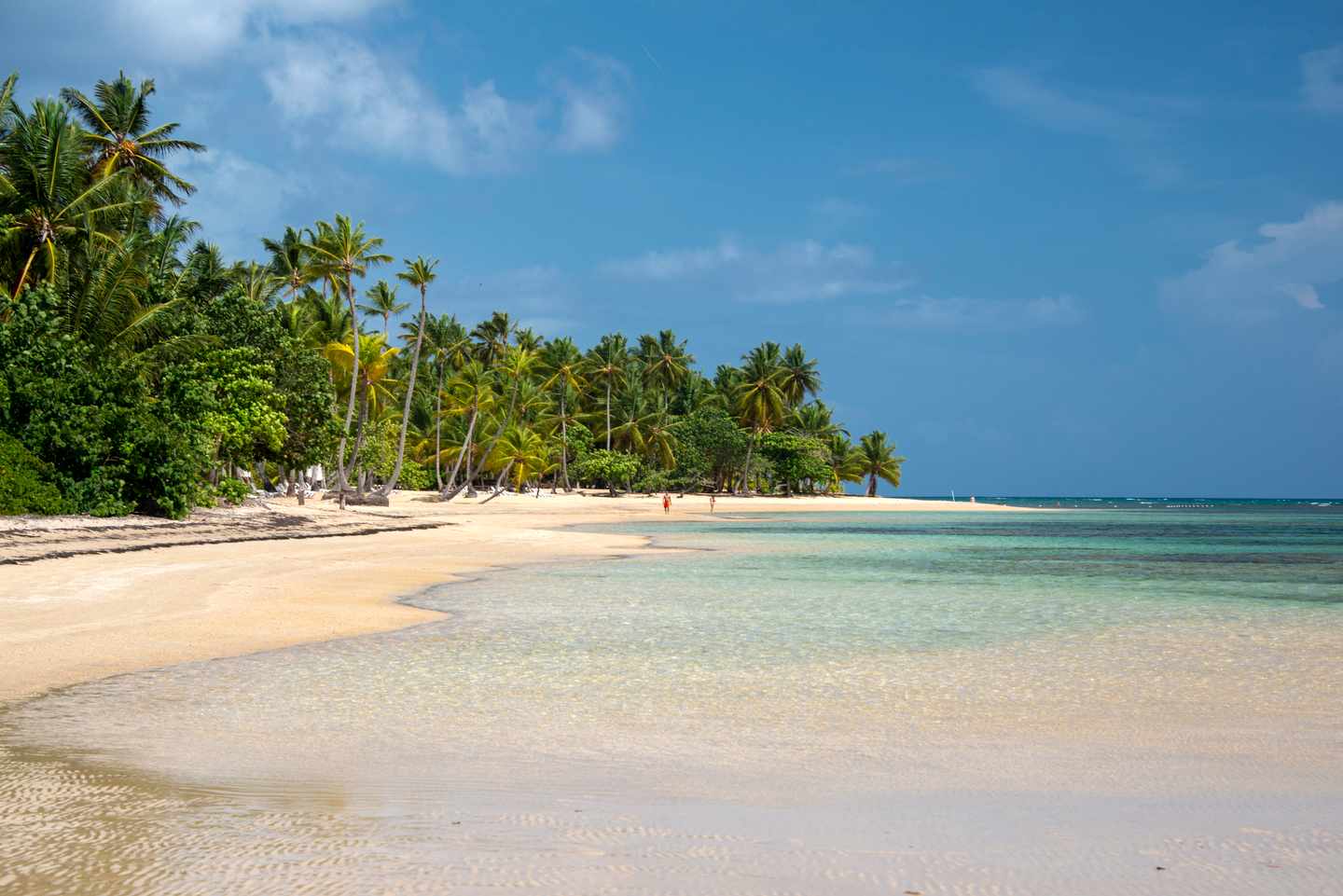 Dominikanischen Republik Hotels: Mangroven am Strand Las Terrenas