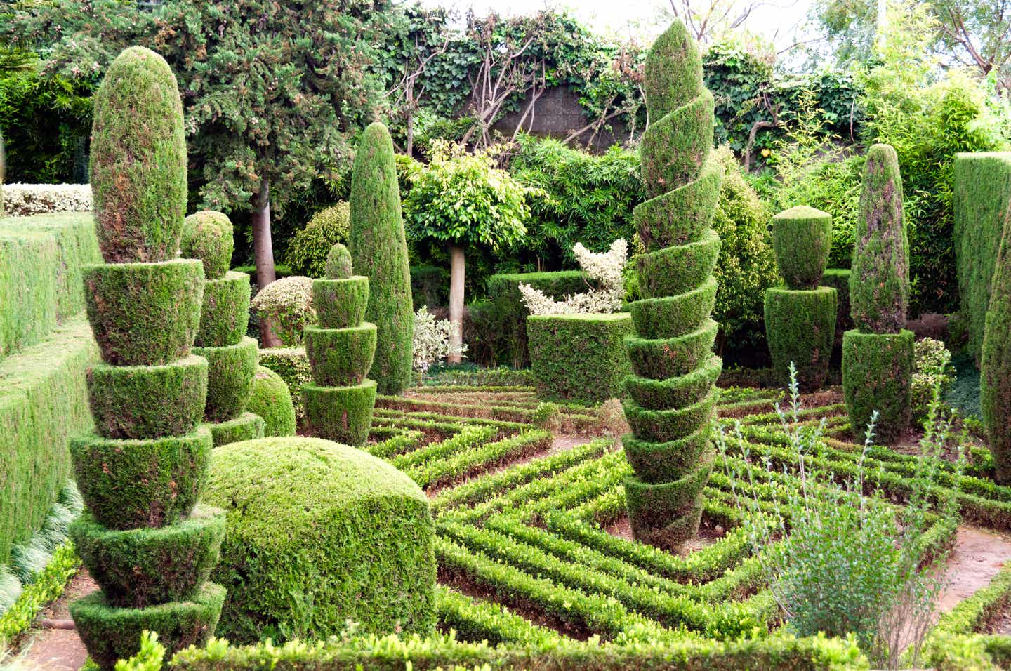 Blick auf einen Formengarten mit akkurat gestutzten immergrünen Sträuchern