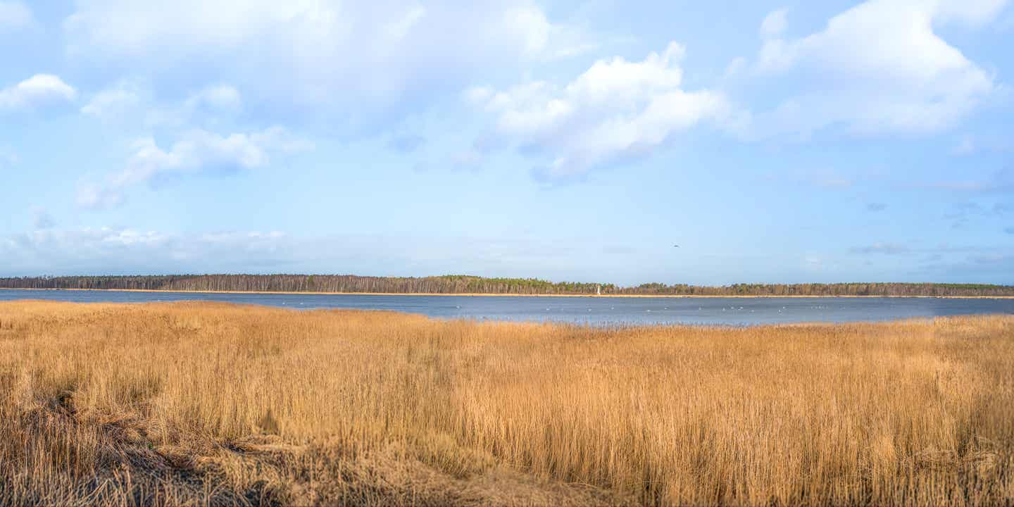 Blick auf die Boddenlandschaft Vorpommerns