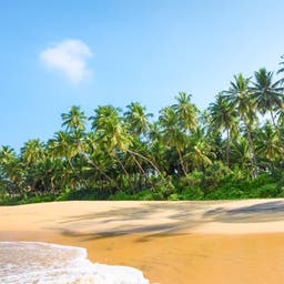 indischer-ozean-sri-lanka-strand-klein-g-1082043146.jpg