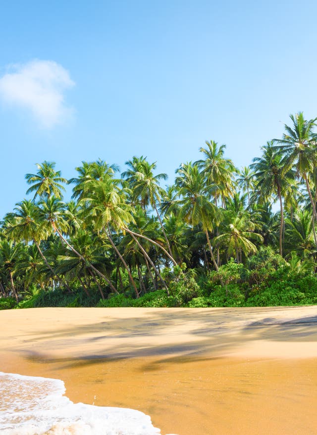 Sri Lanka Urlaub Sri Lanka – traumhafter Strand