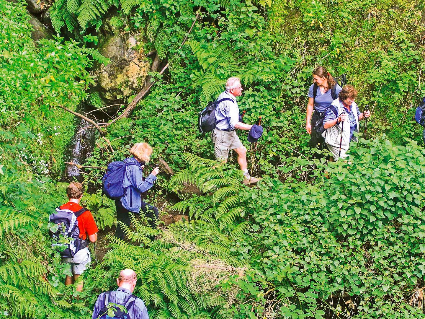 Wanderer auf Madeira