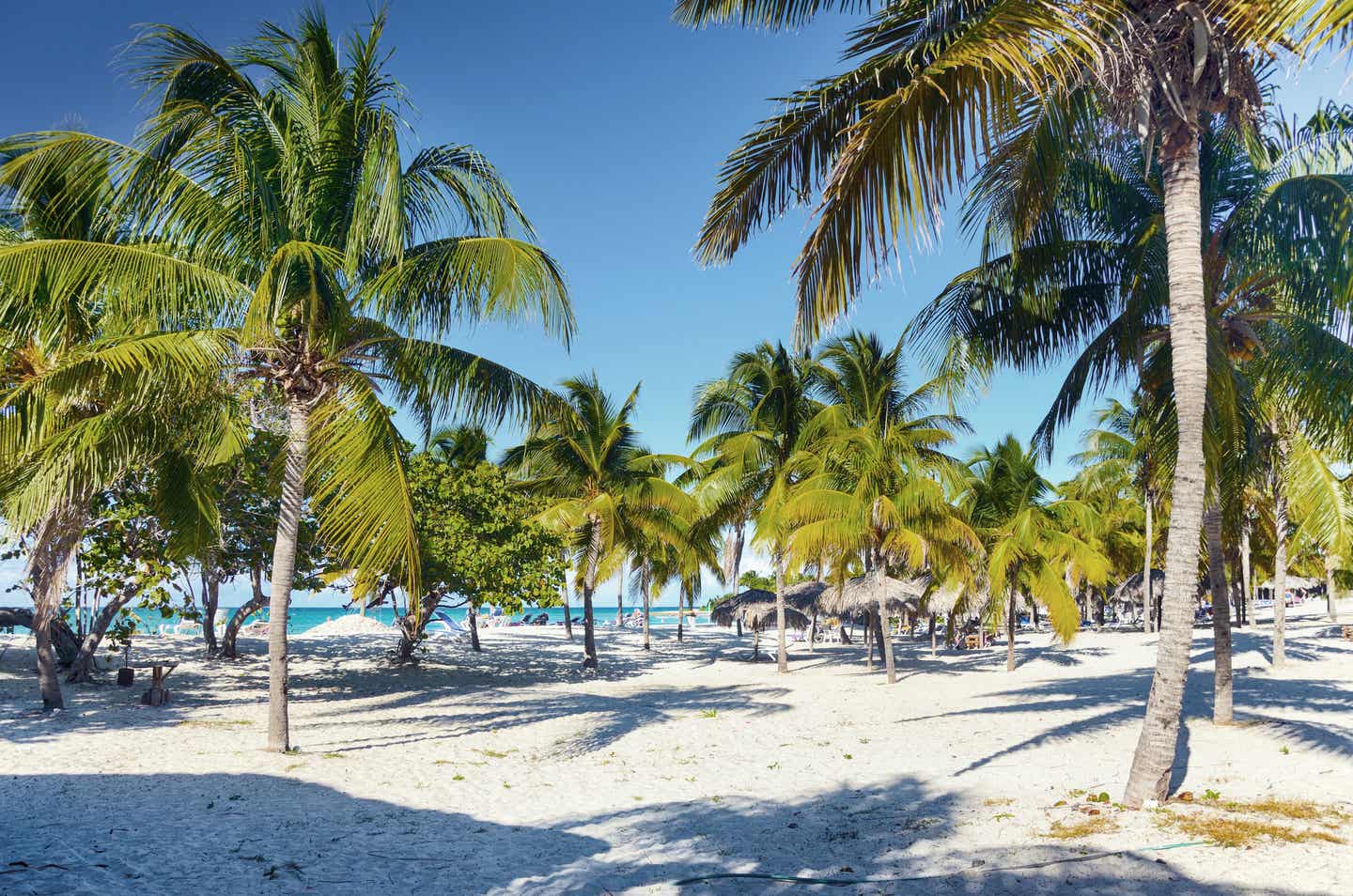 Kuba beste Reisezeit: Am Strand unter Plamen