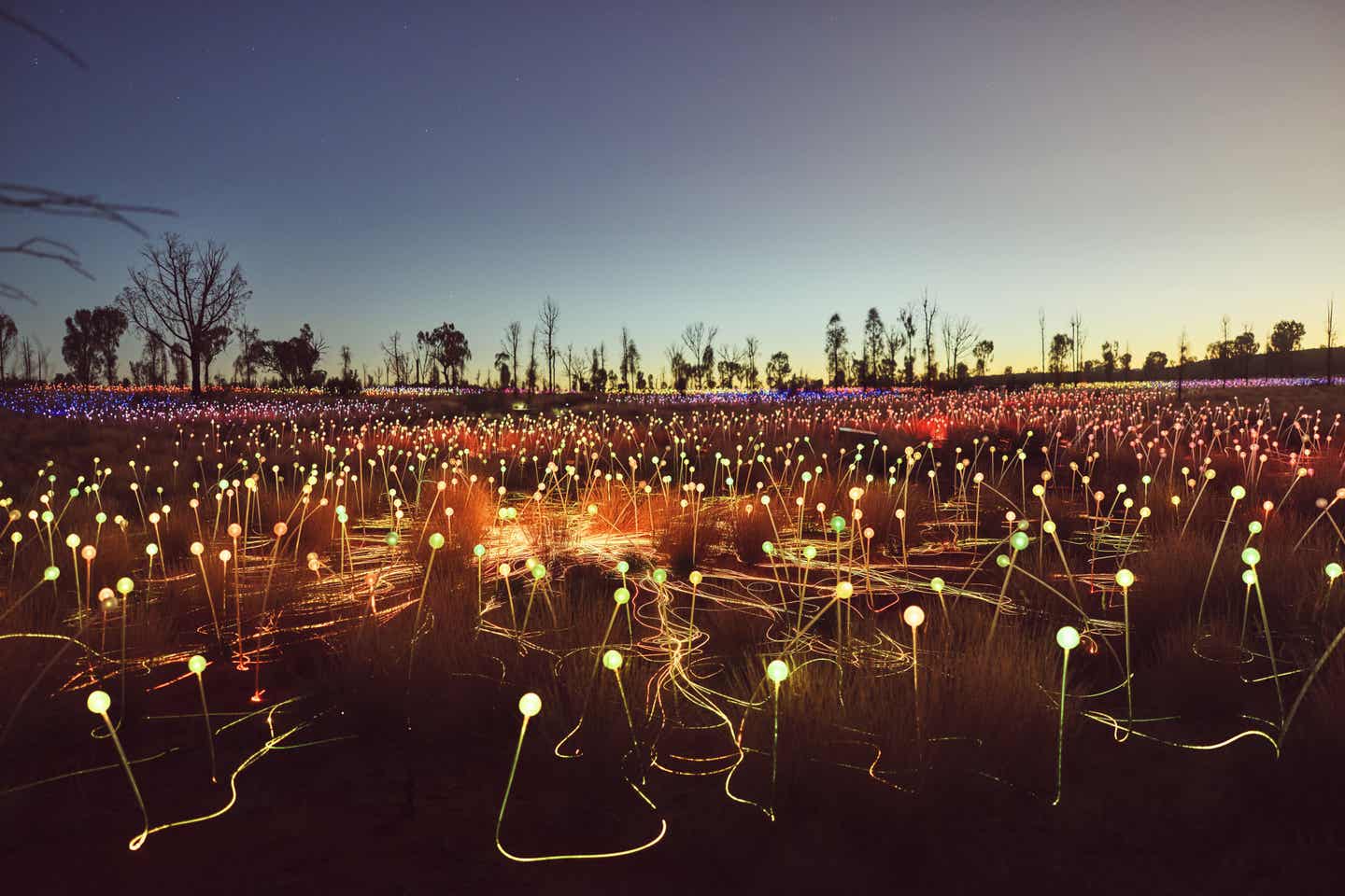 Northern-Territory-Sehenswürdigkeiten: Red Centre Field of Lights