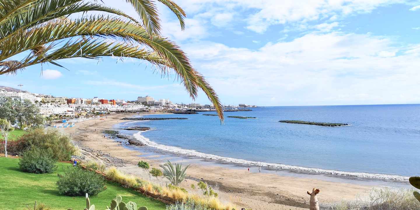 Teneriffas Stränden mit Resorts, Palmen und Co.