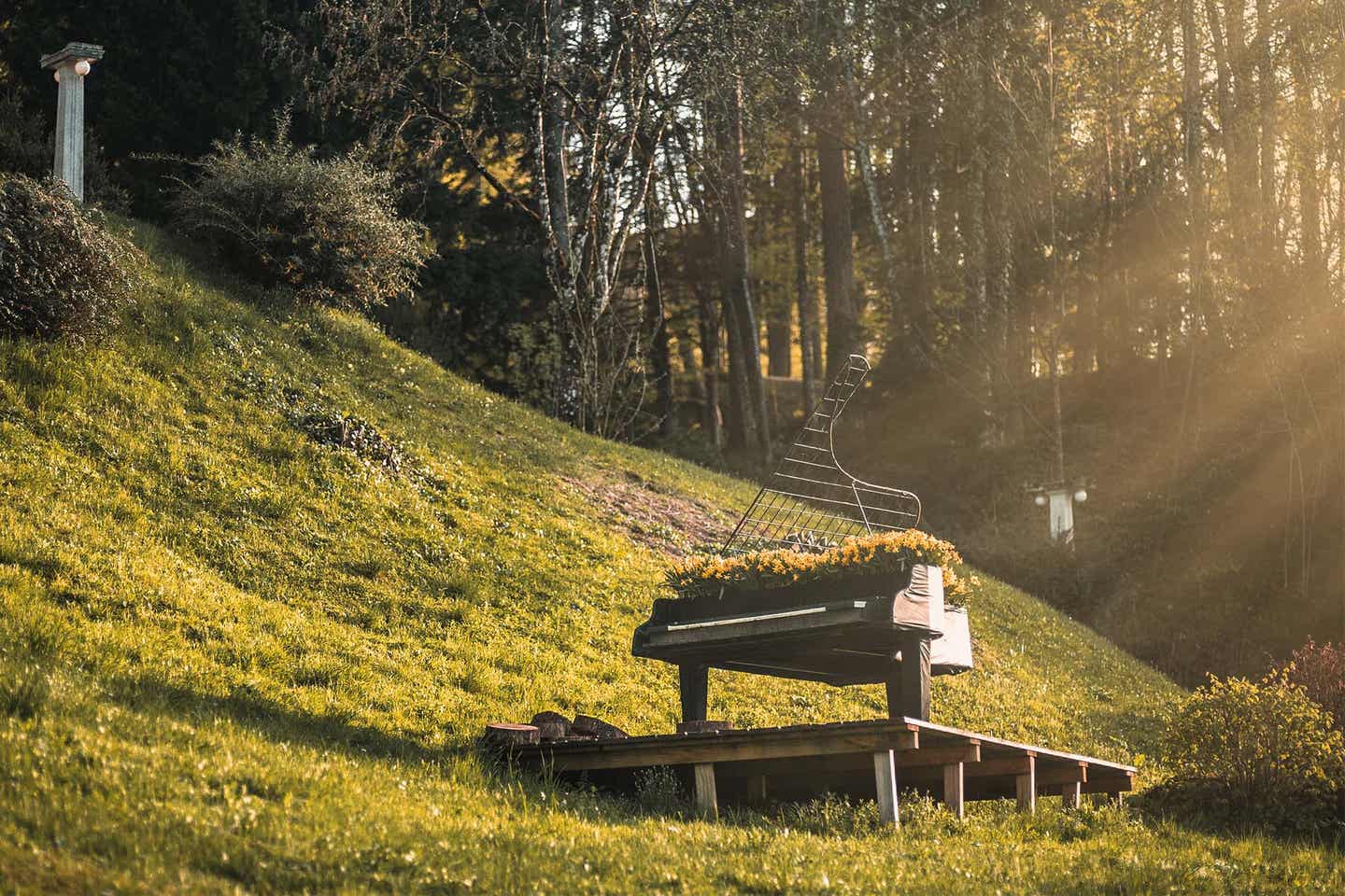 Ein Klavier gefüllt mit Blumen steht in der Natur