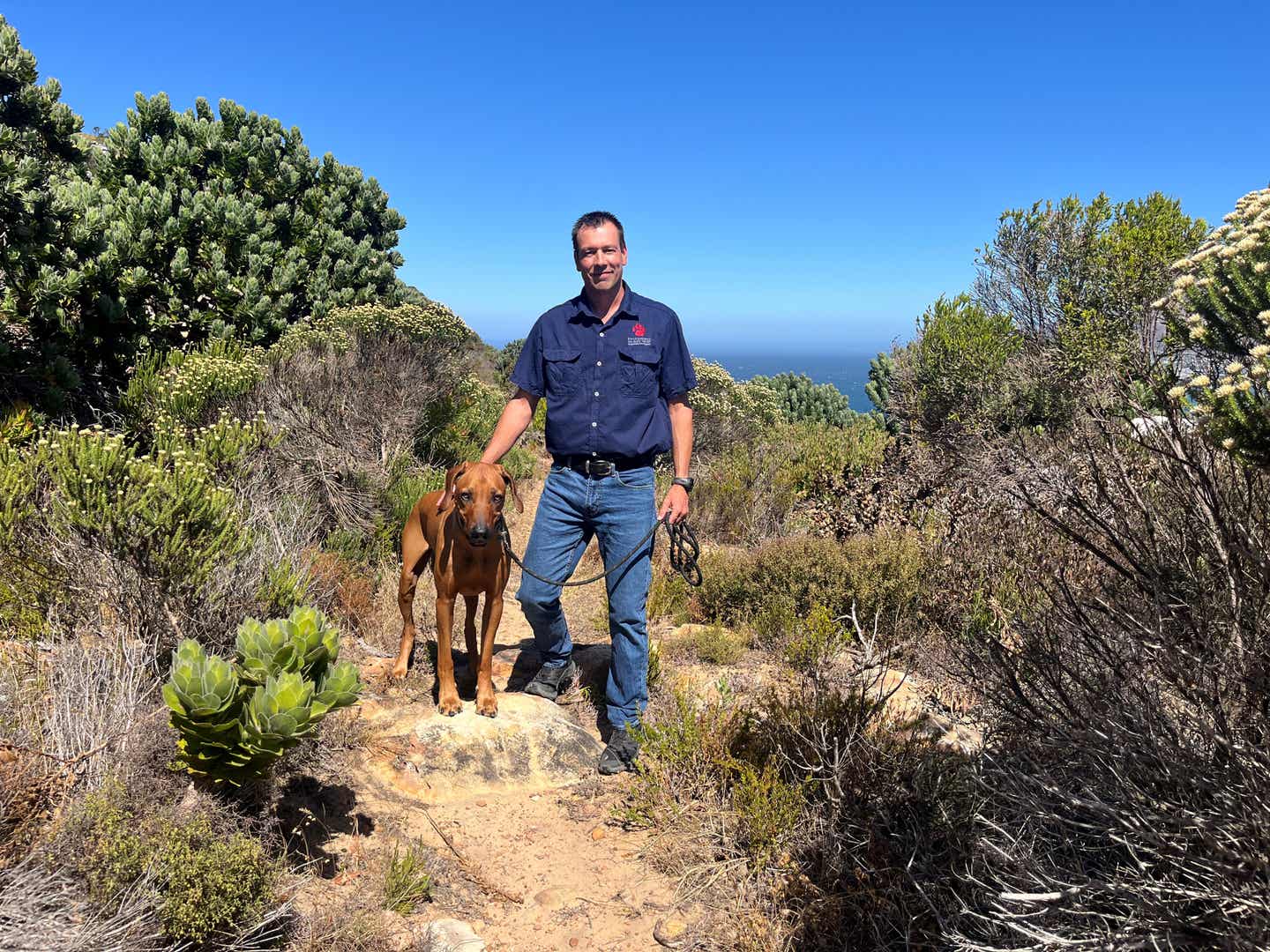 Suchhunde gegen Wilderei in Afrika