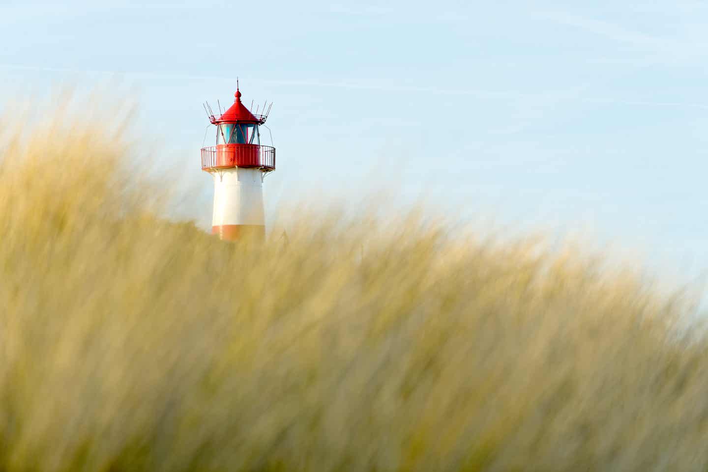 Blick über das Gras der Dünen zum rot-weiß gestreiften Leuchtturm auf Sylt