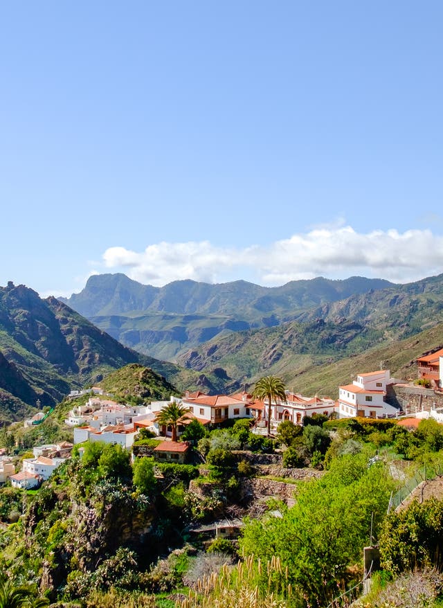 Gran Canaria oder Teneriffa