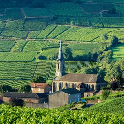Hotels in Burgund