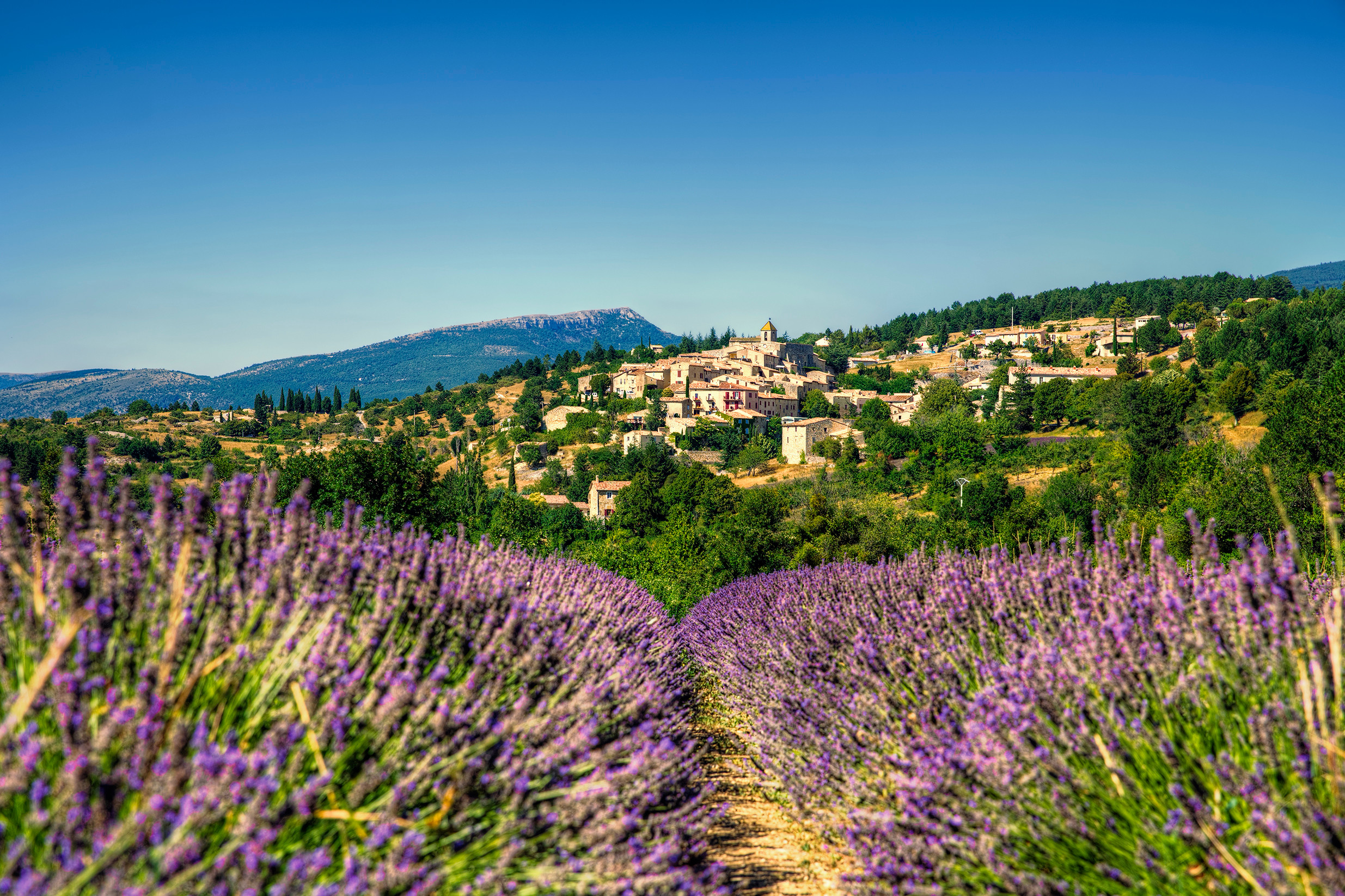 Provence Urlaub buchen ein Fest für die Sinne DERTOUR