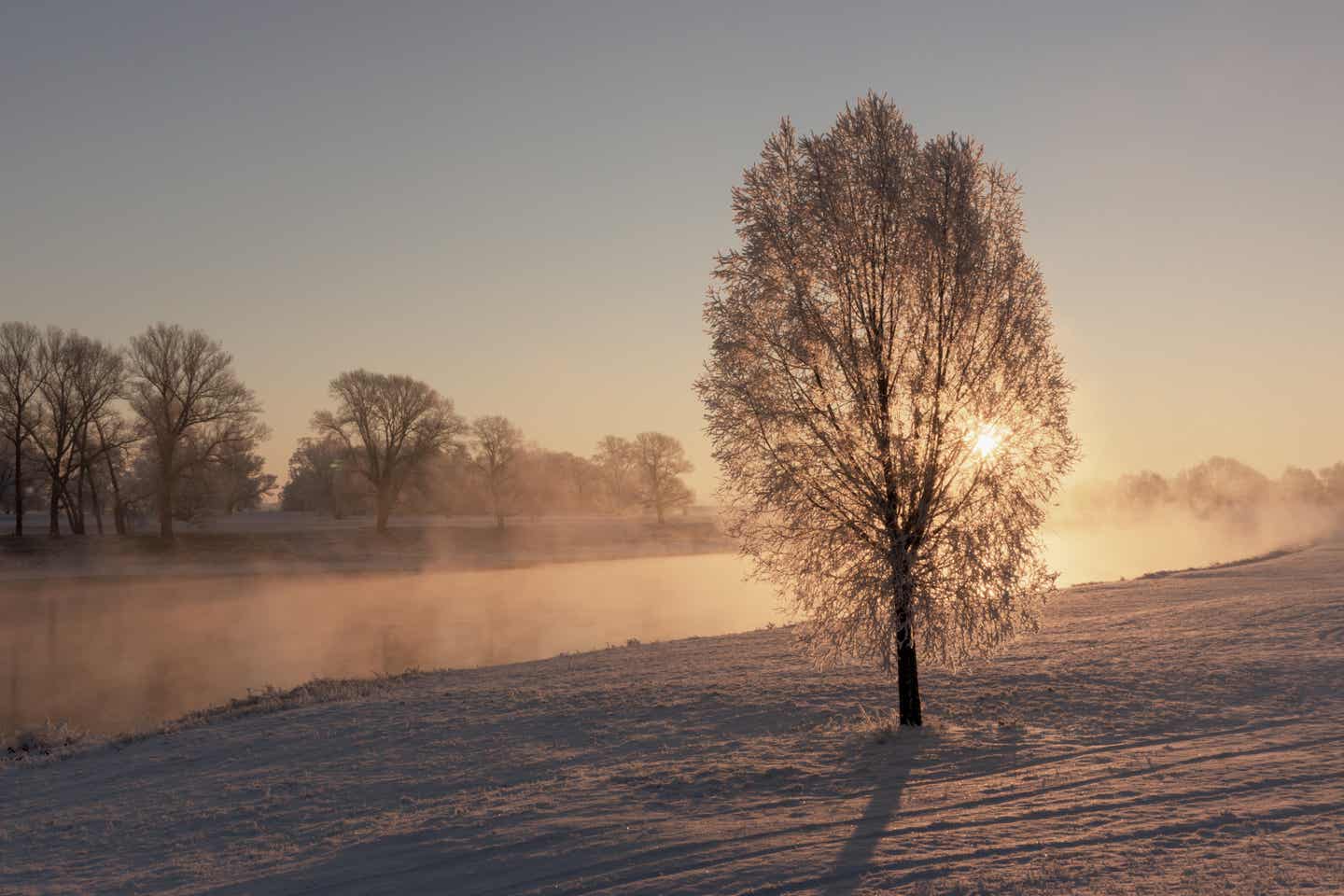 Sachsen in Urlaub mit DERTOUR. Elbe bei Torgau im winterlichen Morgennebel bei Sonnenaufgang