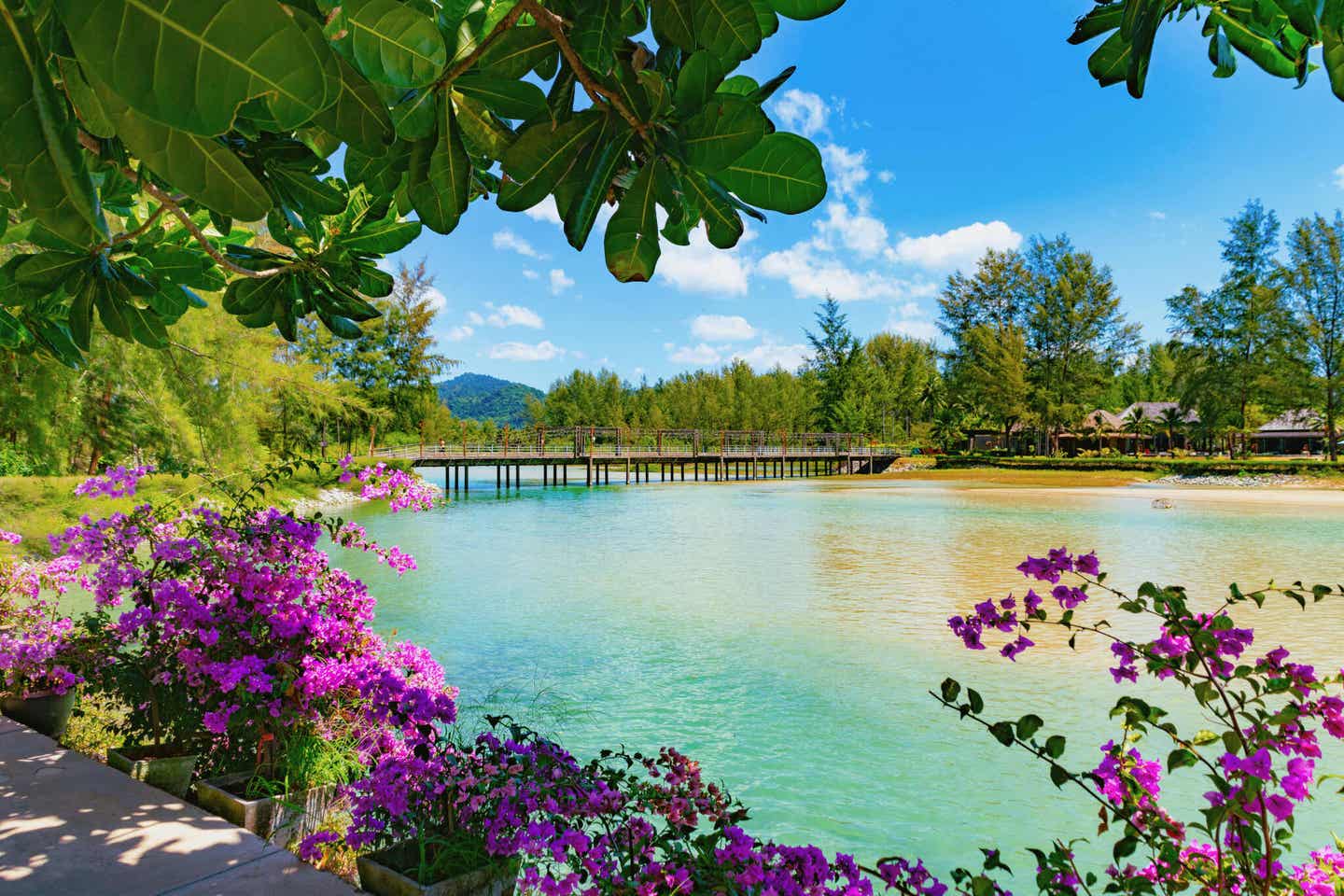 Eine Brücke führt über das türkisgrüne Wasser mit pinken Blumen im Vordergrund