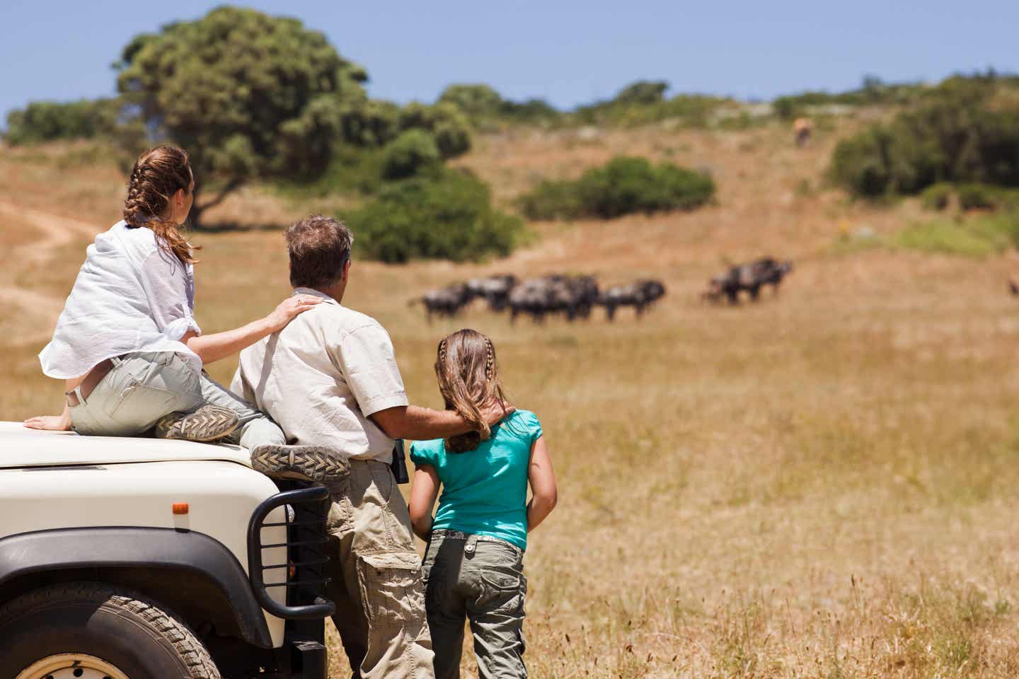 Südafrika-Urlaub – mit der Familie auf Safari