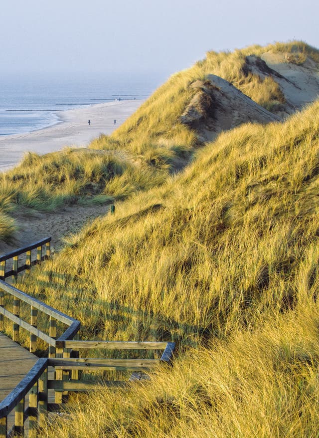 Die Top 7 der Naturwunder Deutschlands Weg zwischen den Dünen