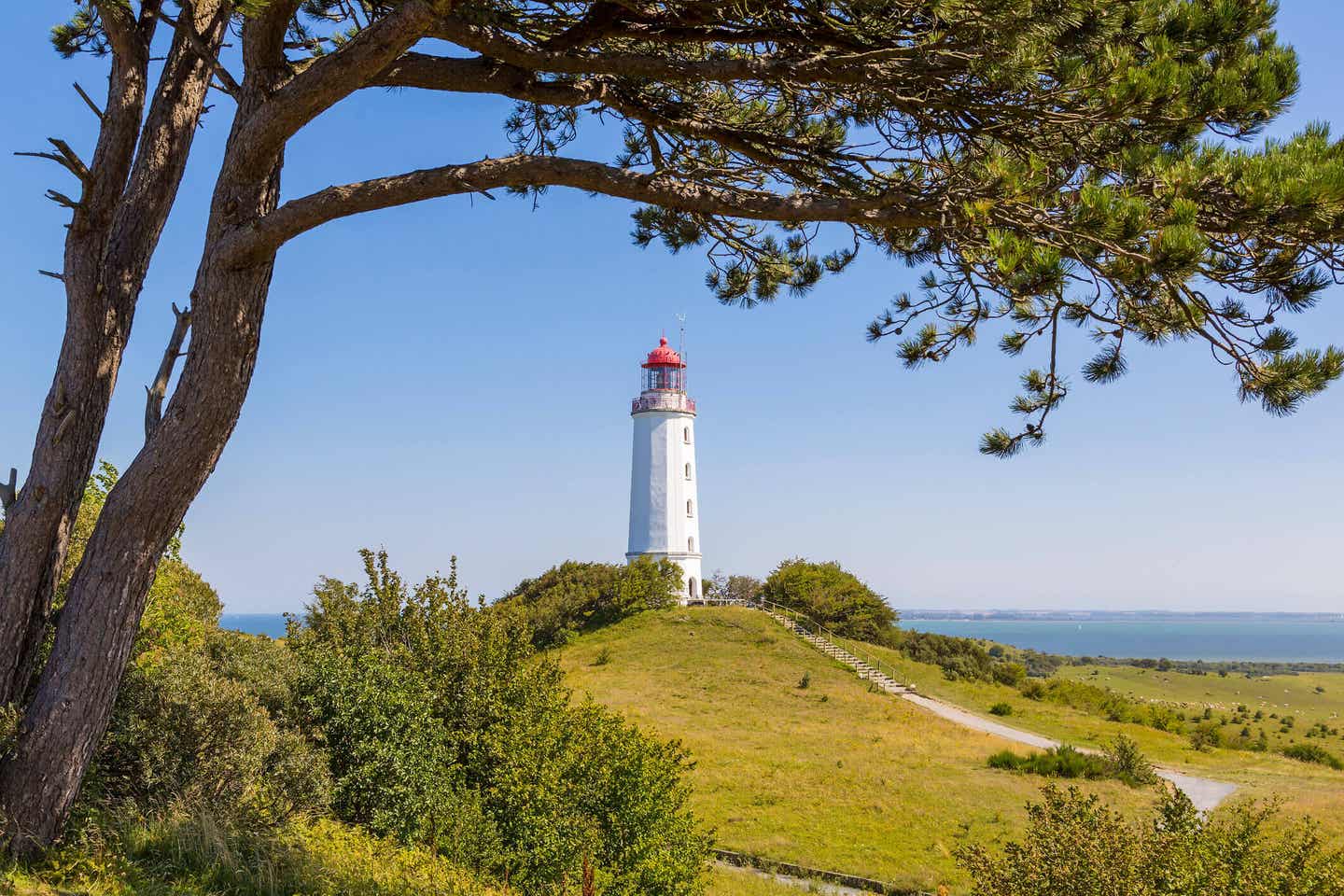 Landschaft und Leuchtturm auf der Insel Hiddensee