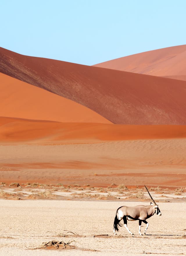 Beste Reisezeit Namibia