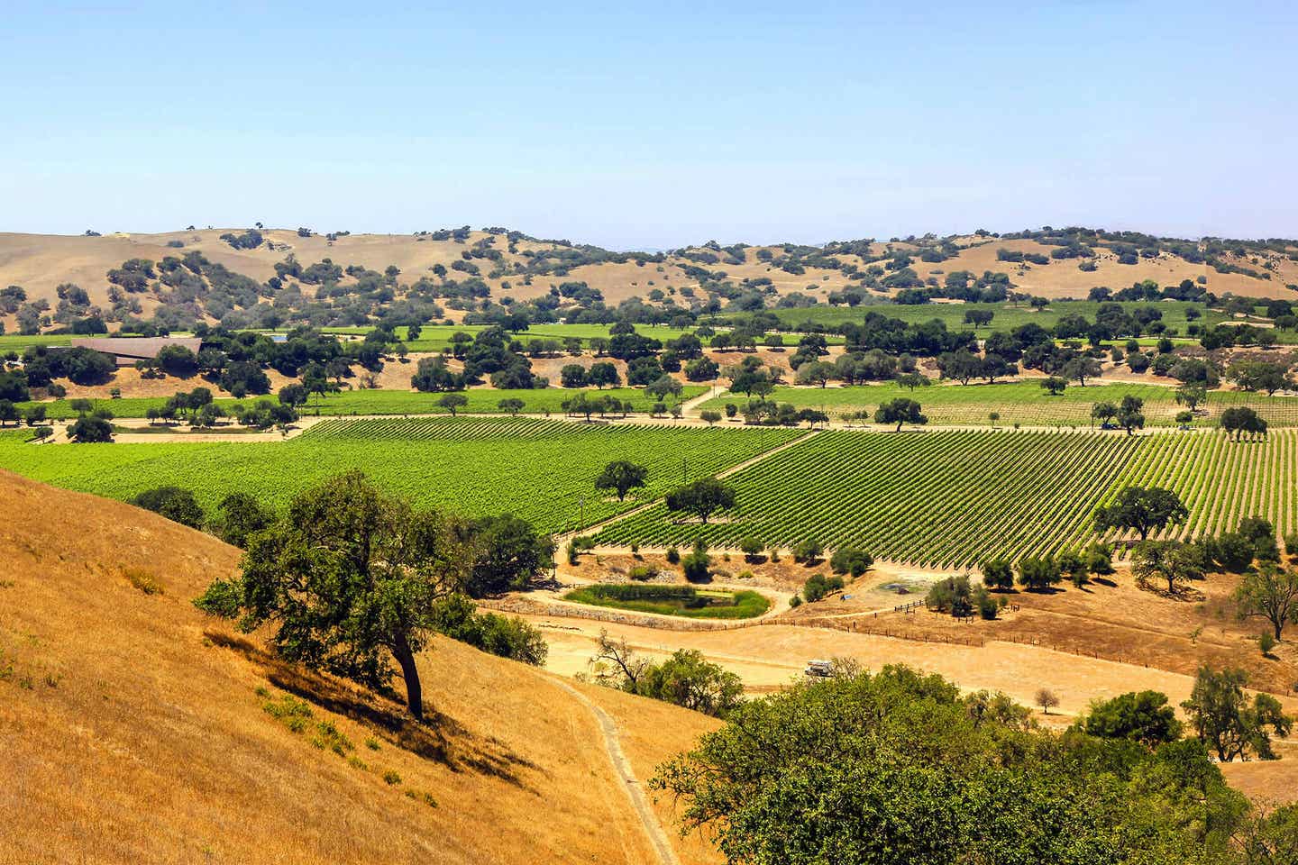 Kalifornien Santa Barbara: Panoramablick über die Weinfelder