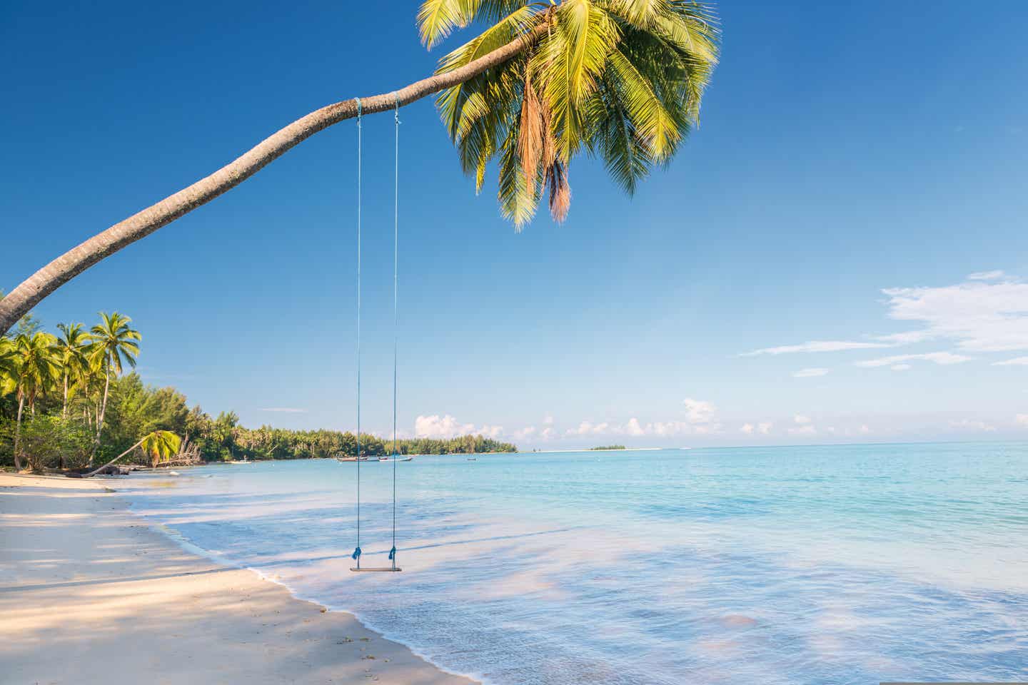 Blick auf den Coconut Strand in Khao Lak mit Palme und Schaukel direkt über dem Wasser