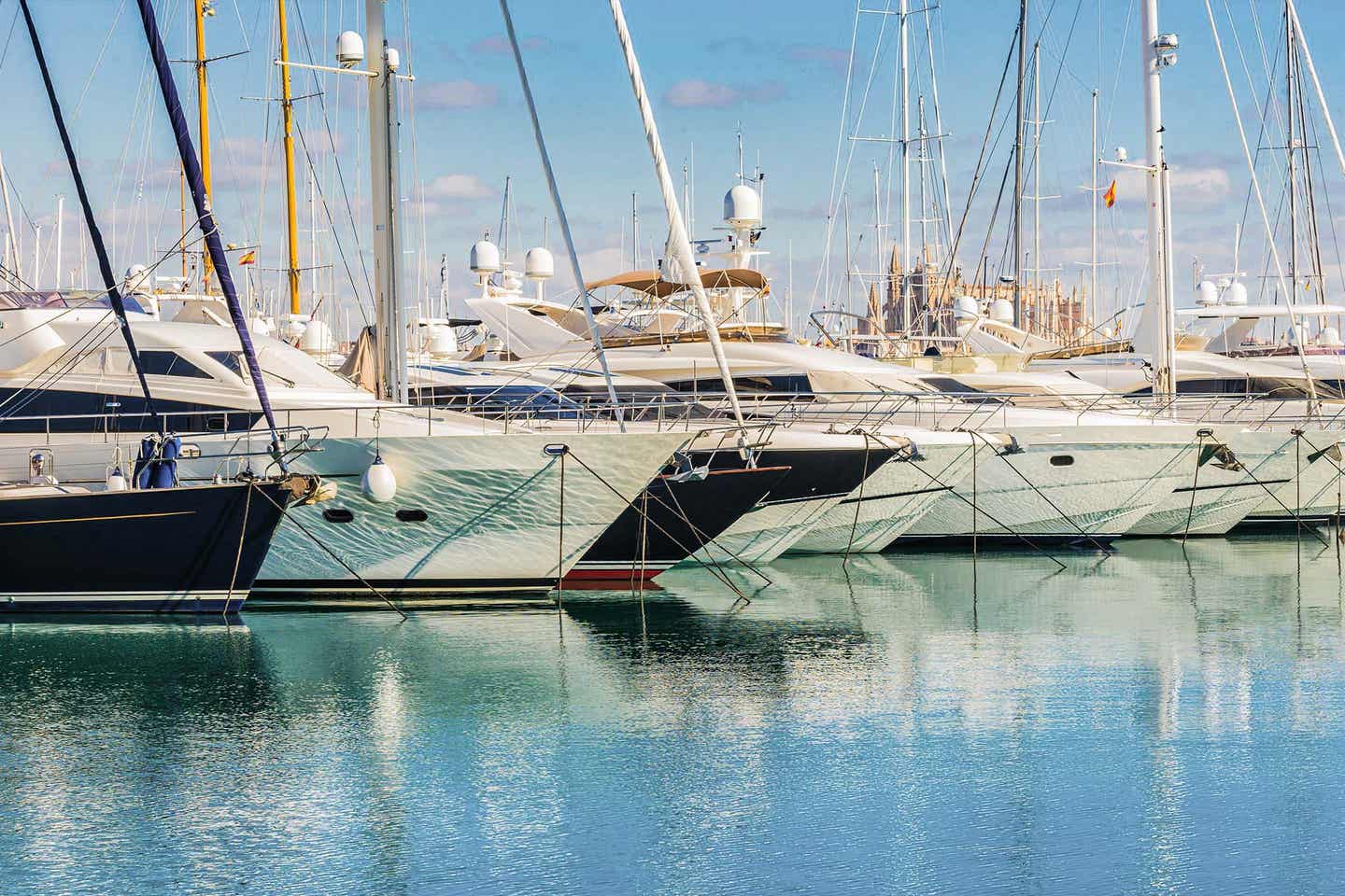 Palma: Blick auf Luxusboote im Hafen