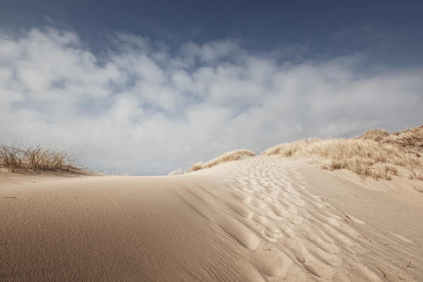 Sylt Urlaub mit DERTOUR. Helle Sanddüne mit Strandgras an der Küste von Sylt