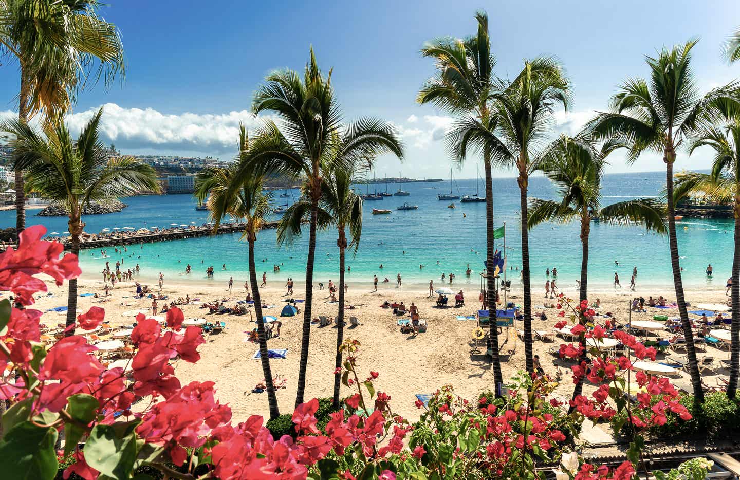 Gran Canaria Urlaub mit DERTOUR. Blick auf Strand, Meer und Palmen