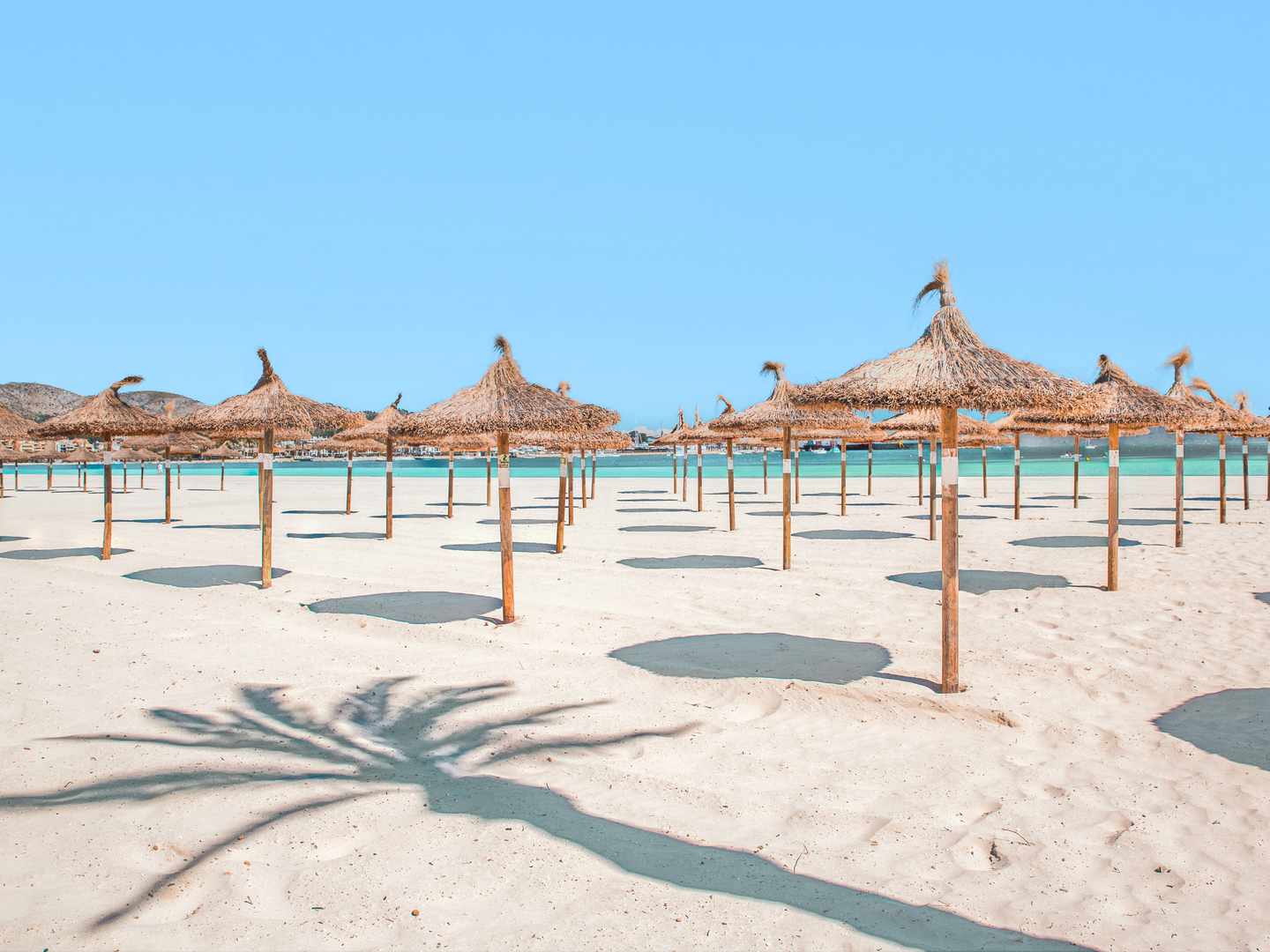 Alcudia-Urlaub: Sonnenschirme am Playa de Muro