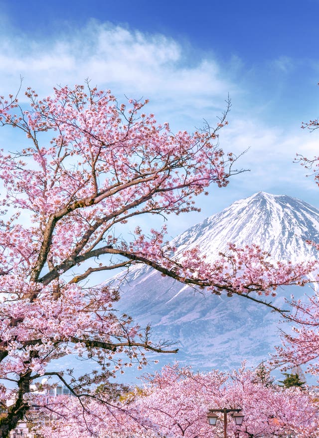 Japan beste Reisezeit