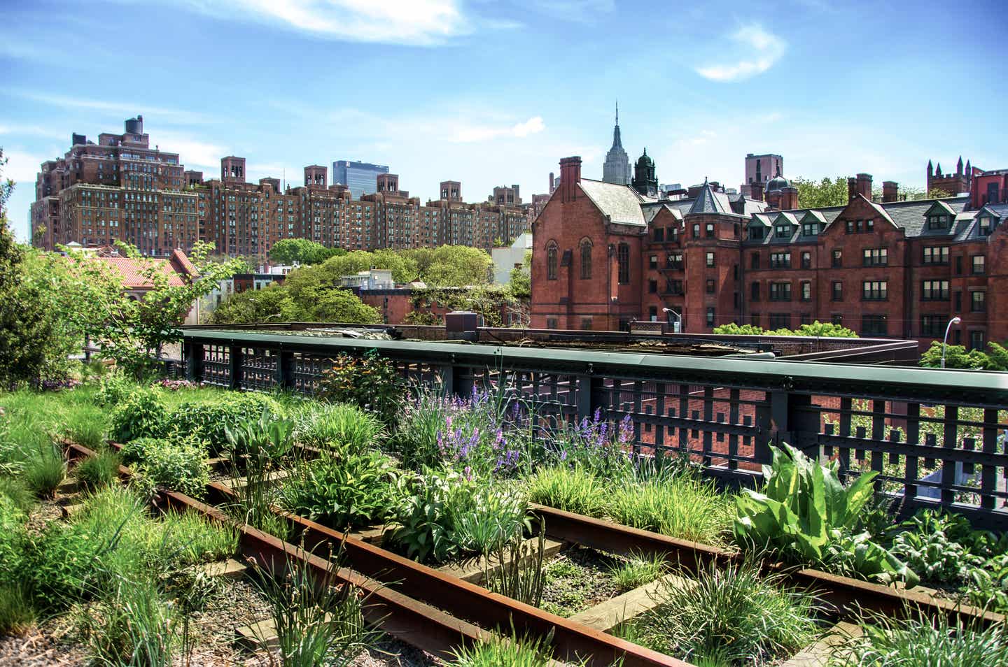 New York Sehenswürdigkeiten: der High Line Park