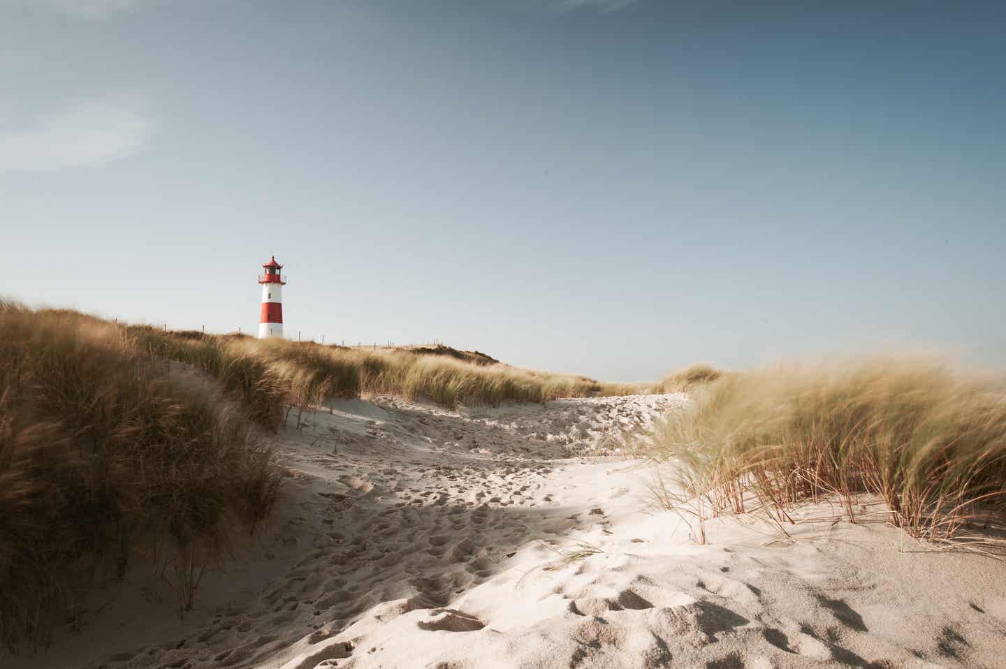 Schleswig Holstein Urlaub mit DERTOUR. Leuchtturm von Sylt mit Dünenlandschaft im Vordergrund