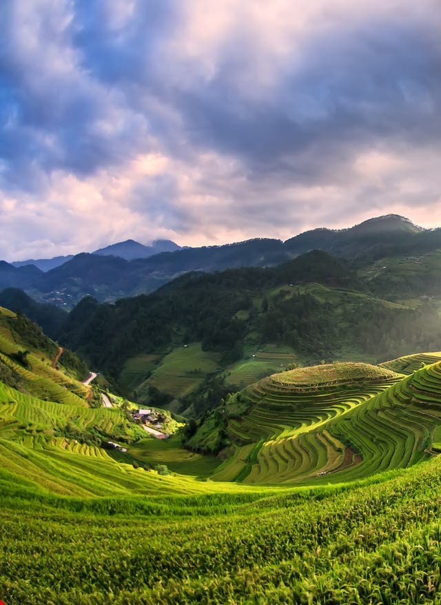 Vietnam Urlaub Vietnam – Reisterrassen