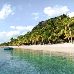 mauritius-aussicht-auf-luxusstrand-g-1177829334.jpg
