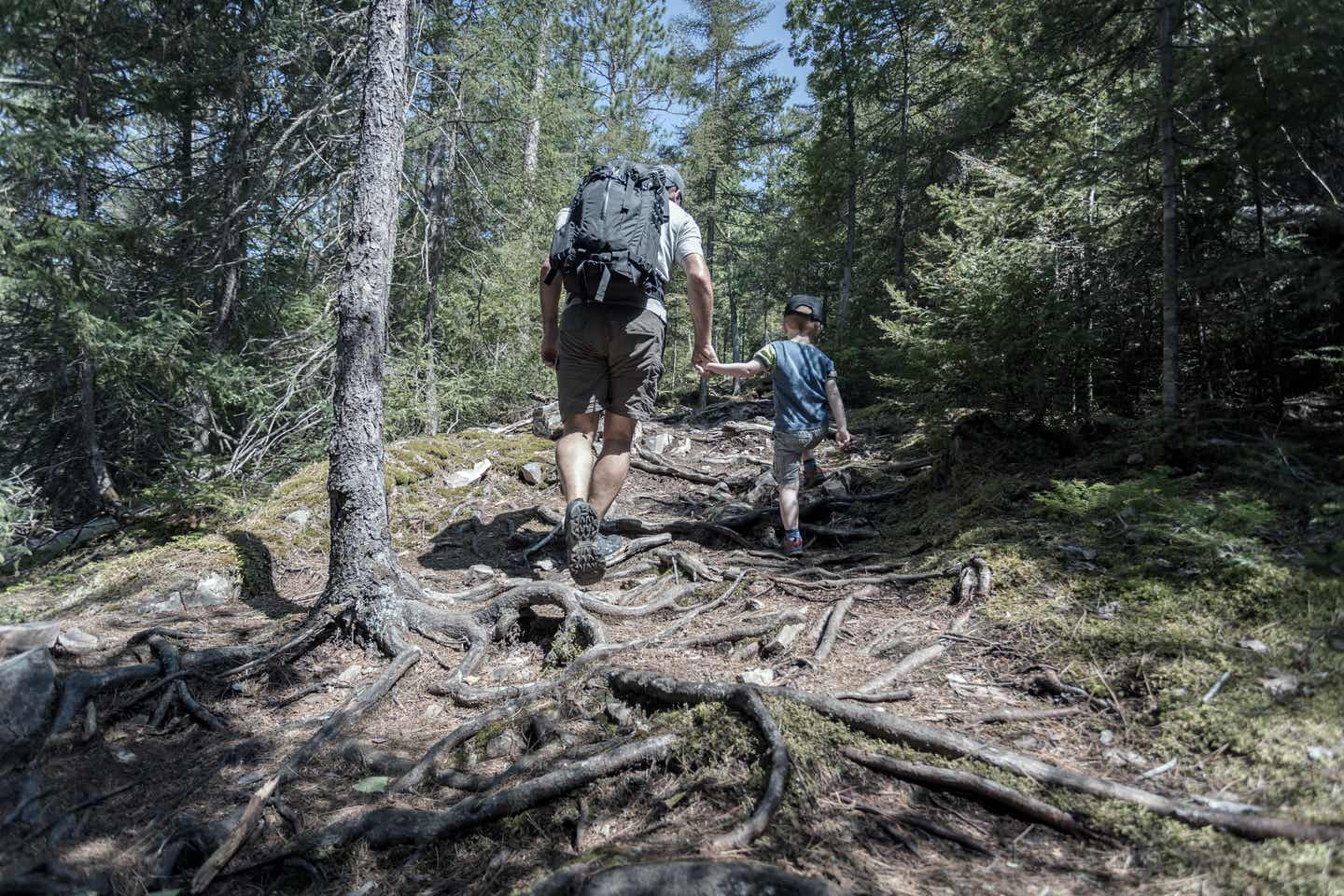 Bayerischer Wald Urlaub mit DERTOUR. Vater und Sohn wandern im Wald einen verwurzelten Hand hinauf