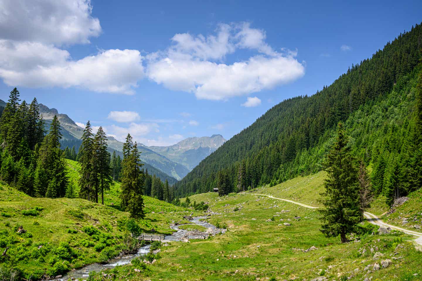 Grüne Bergpanorama im österreichischen Montafon-Tal