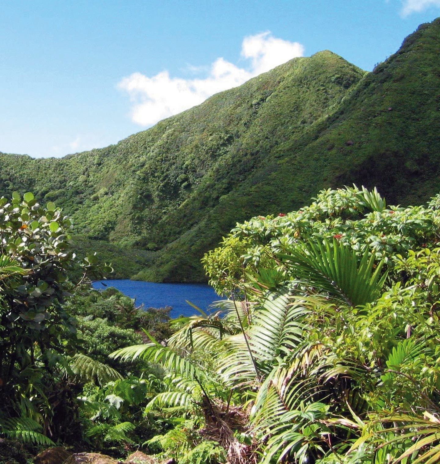 Hotels auf Dominica