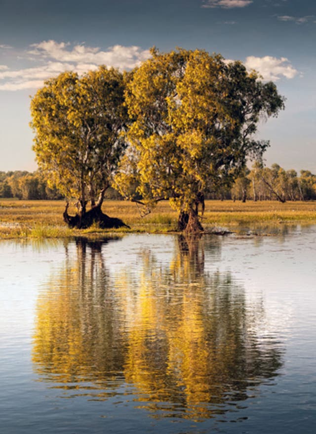 Zur Autoreise Northern Territory Kakadu Nationalpark