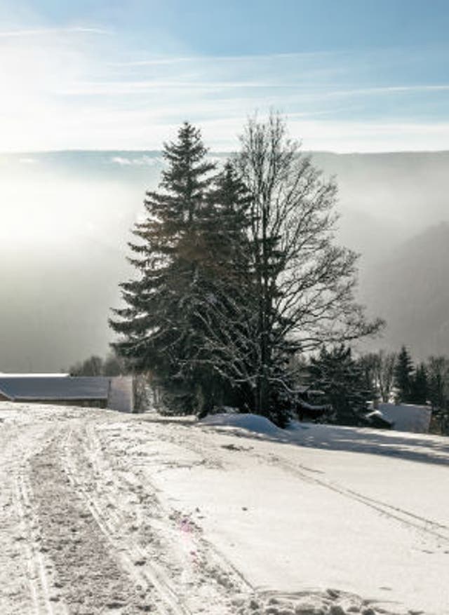 Alle Angebote entdecken Skiurlaub in Tschechien: das verschneite Riesengebirge