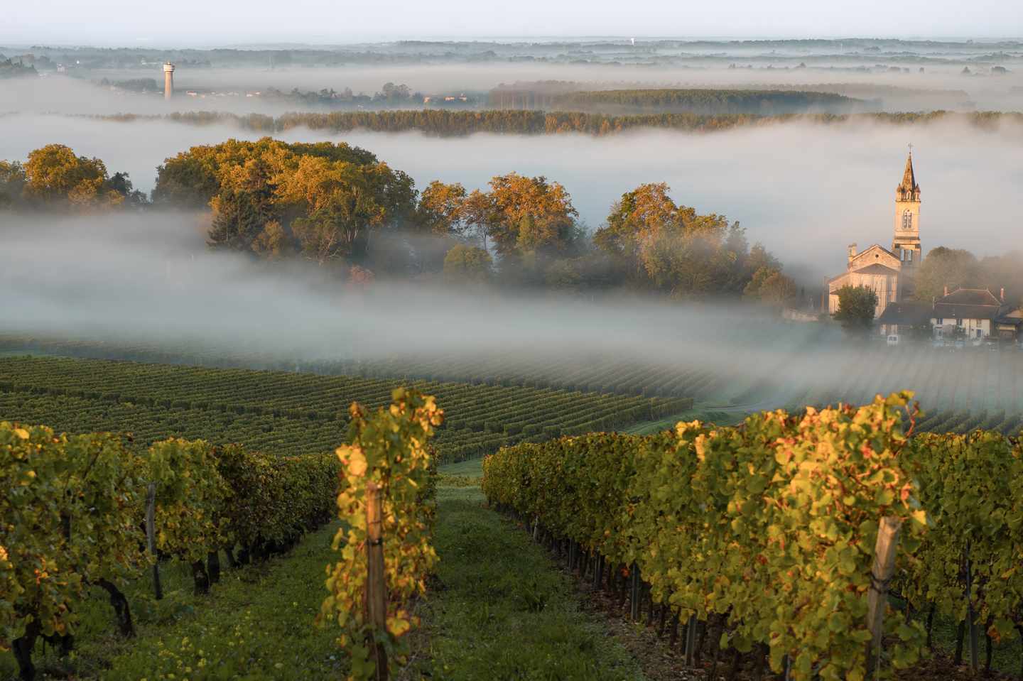 Städtetrip Oktober. Frankreich: Sonnenuntergang in der Landschaft von Bordeaux