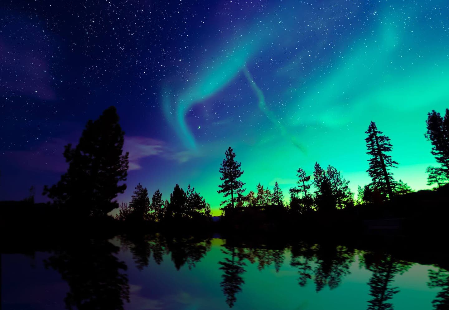 Wann kann man Polarlichter sehen? Wald mit Nordlichtern im Hintergrund