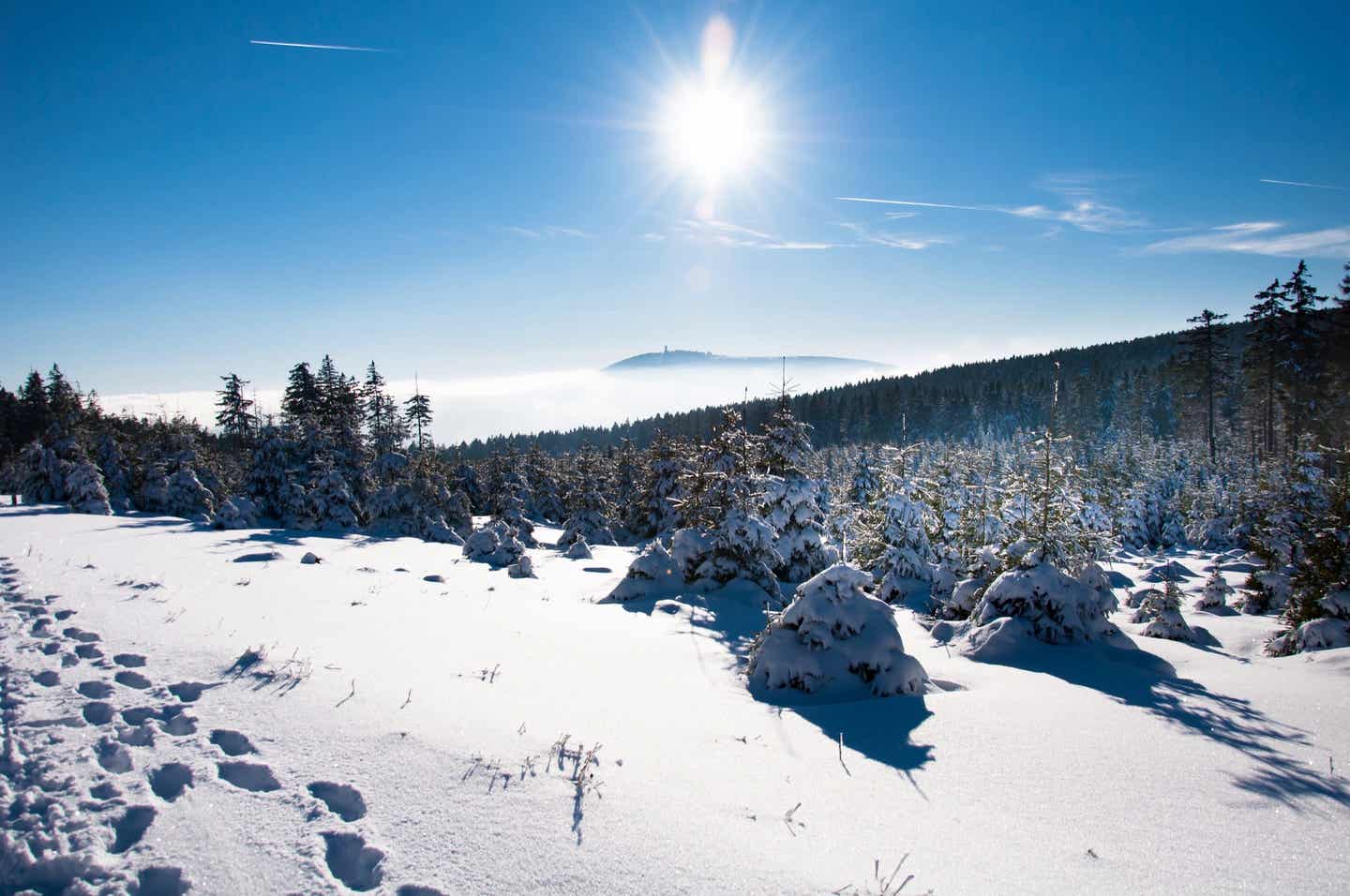 Winterurlaub in Deutschland: Harzer Brocken im Schnee