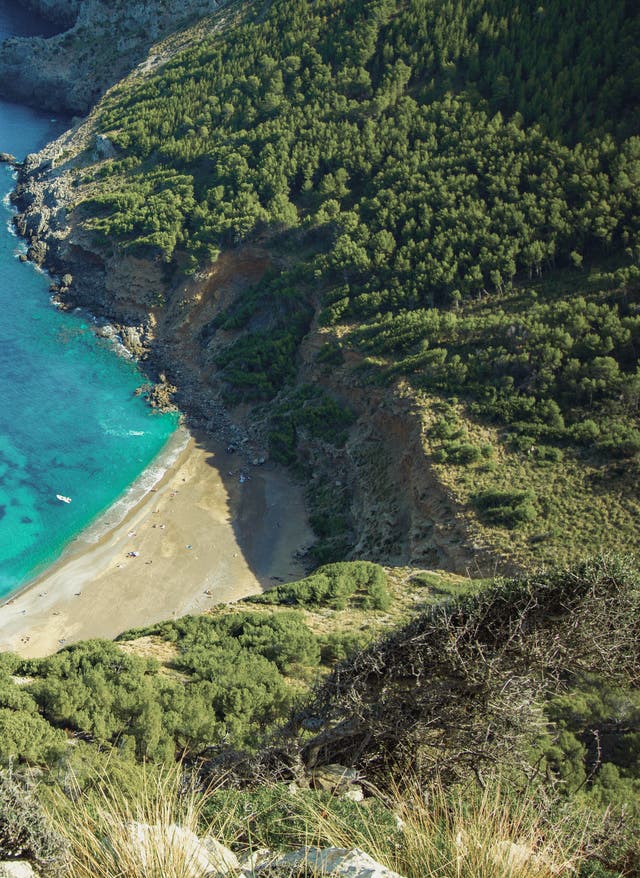 Zu den Angeboten Mallorca Strand bei Alcudia