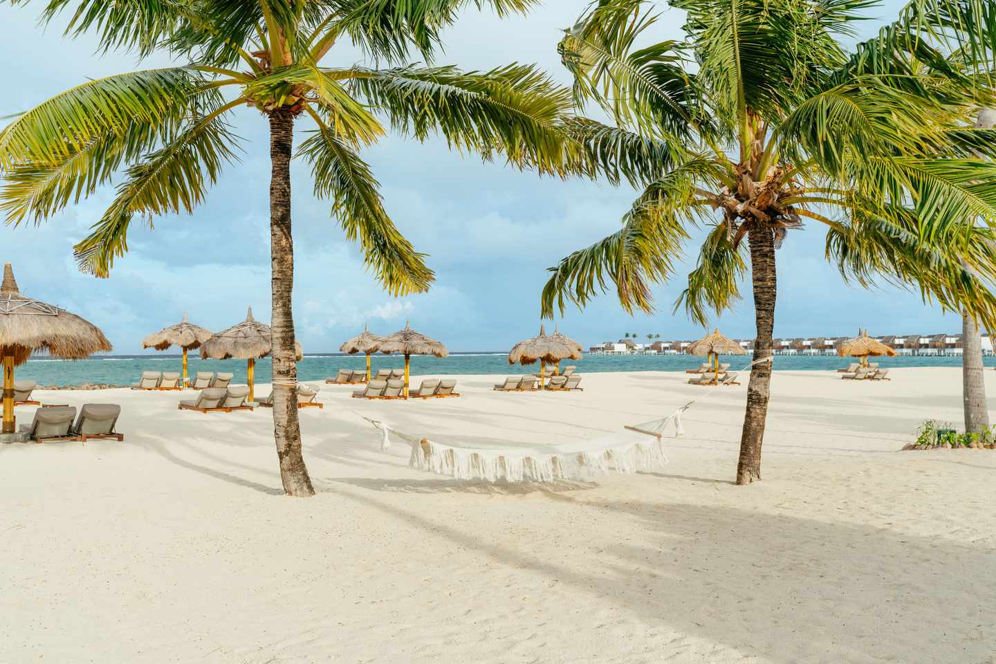 Strand mit Palmen, Hängematte zwischen zwei Palmen und Liegestühlen unter Strohdächern am Meer