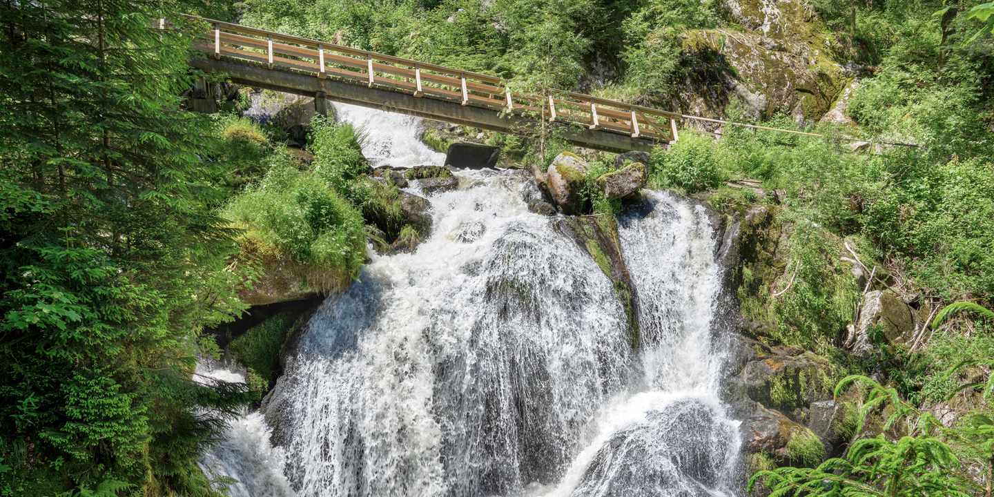 Triberger Wasserfälle im Schwarzwald mit Holzbrücke, Felsen und dichtem Wald im Sommer