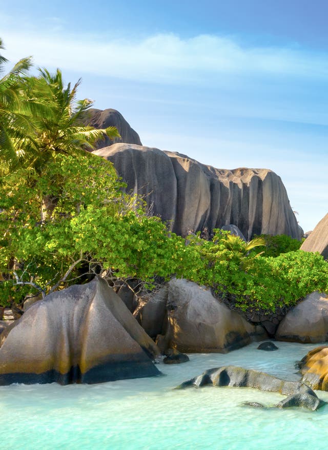 Zu den Angeboten Strand auf den Seychellen