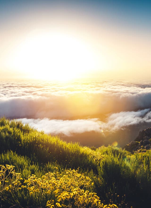 Madeira-Retreat-Tipps – hier geht’s zur inneren Balance