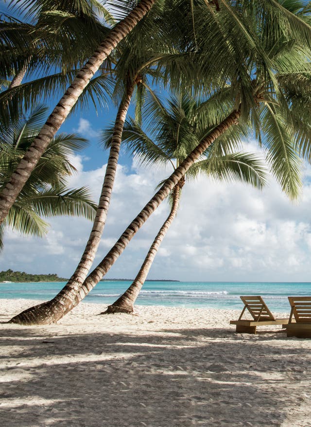 Saona Island Liegestühle auf Saona Island, Dominikanische Republik